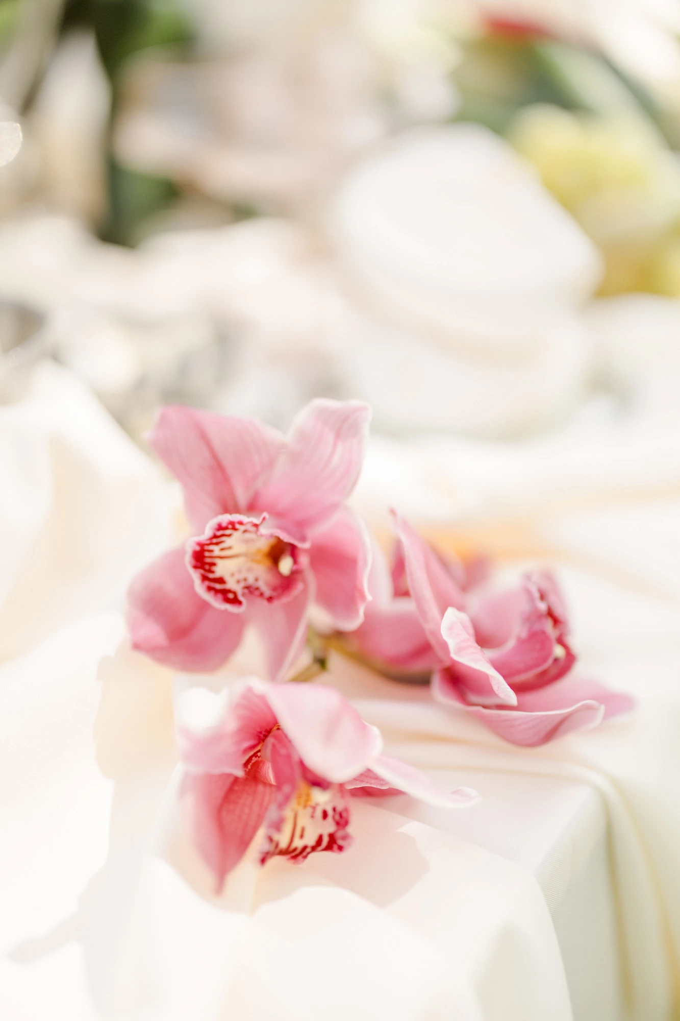 fleur pétale rose composition florale beige